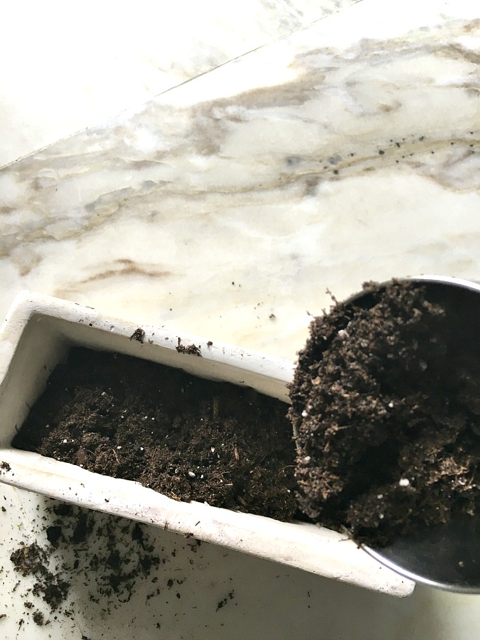 person adding soil on a white rectangular pot
