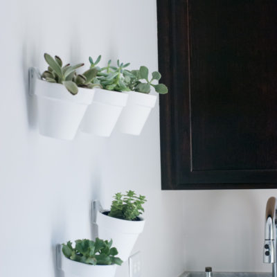 DIY: White Terra-Cotta Pots with Succulents
