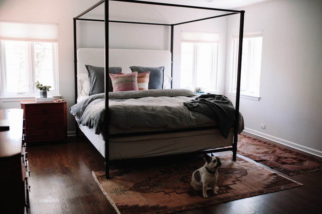 bedroom with a bed, dog, and Kilim Rug decor trends
