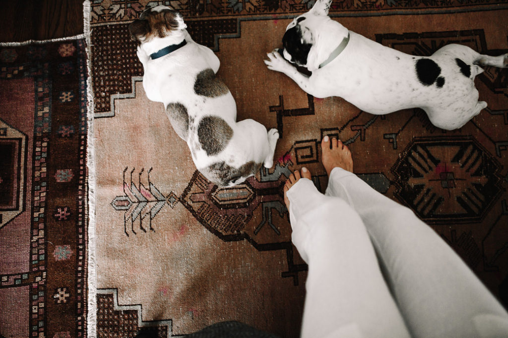 two dogs laying down on a Kilim Rug decor trends