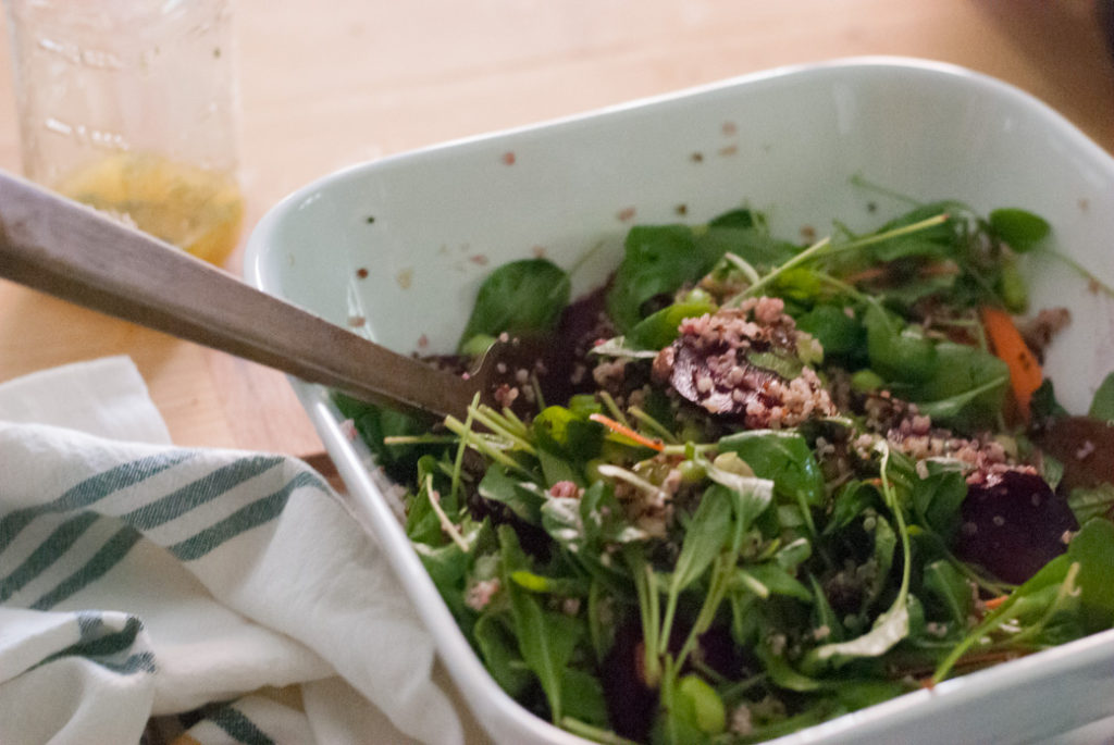 Fall Harvest Salad Recipe - Never Without Navy