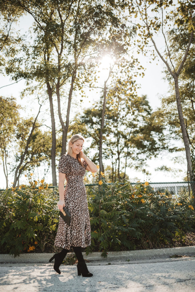 leopard print dress