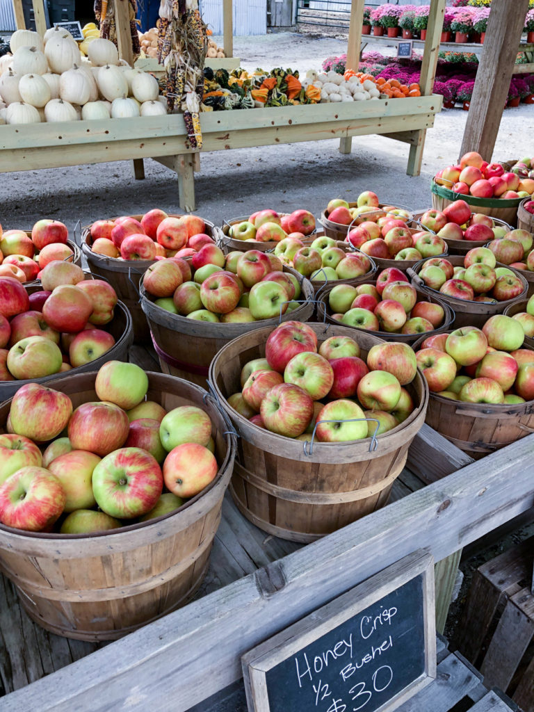 apples for Easy Fall Food Recipes