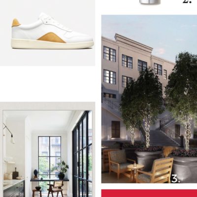 Everlane's Court Sneaker