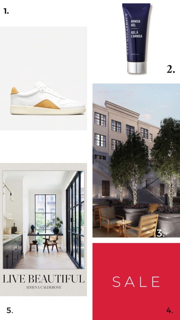 Everlane's Court Sneaker